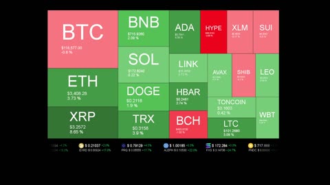 Live Coin Price Watch!
