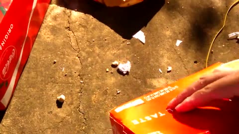 MyCokerewards Dumpster Dive (11)