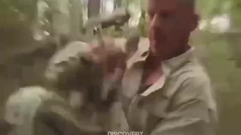 Bear with Me, I'm Not Lion, Just Feeling a Bit Horse.