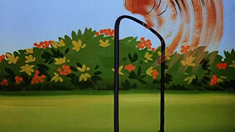 Woody Woodpecker and Friends - 1951x03 - Wicket Wacky