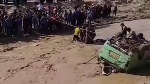 Should have stayed in Noah's ark