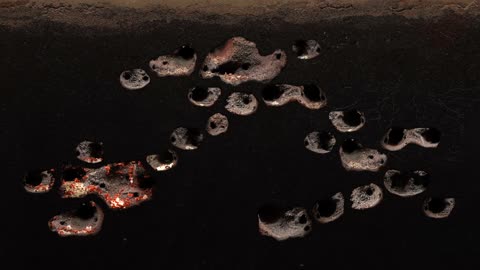 Simulating an Ant Colony for 1000 Days