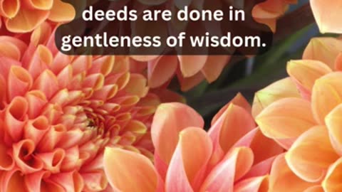 Journey of faith and spiritual growth James 3:13 Daily Bible Verse