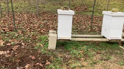 Tongue and Groove Done