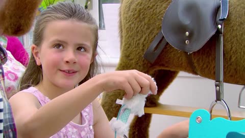 Mi Mascota y Yo - T02E03 - Gato Ragdoll