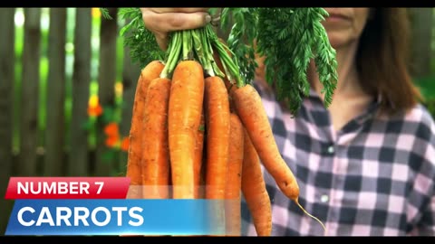 8 Superfoods to REDUCE CREATININE Fast & Improve Kidney Function