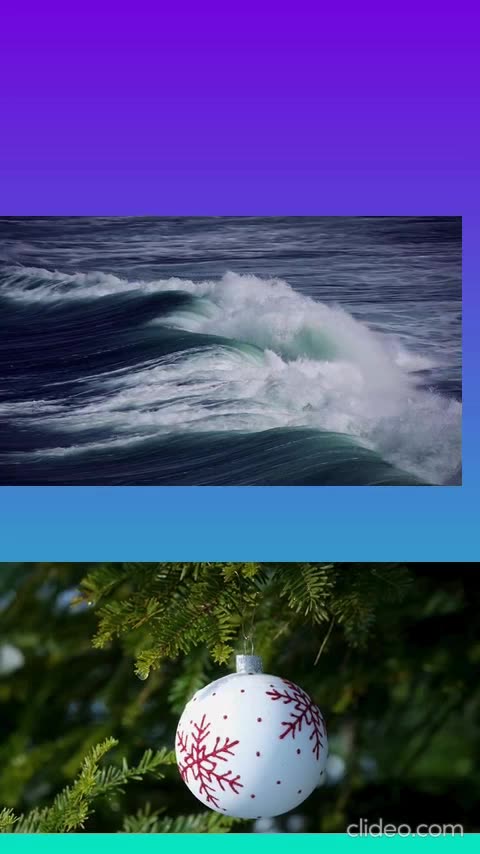 jogo bicho premiado.mp4