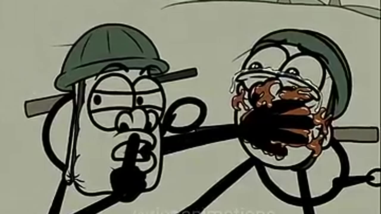 Funny videos
