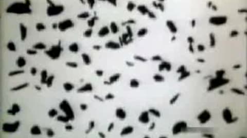 Commercial - York Cigarettes w Charcoal Granule Filter