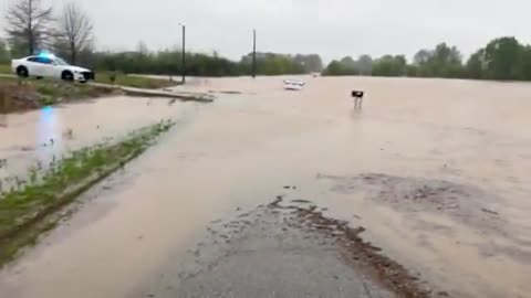 CROCKETT COUNTY TN This is Cherryville Road