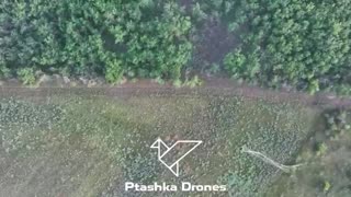 💥 40 Russian Mavics destroyed 🐝 3 enemy FPV drones eliminated 🕸️