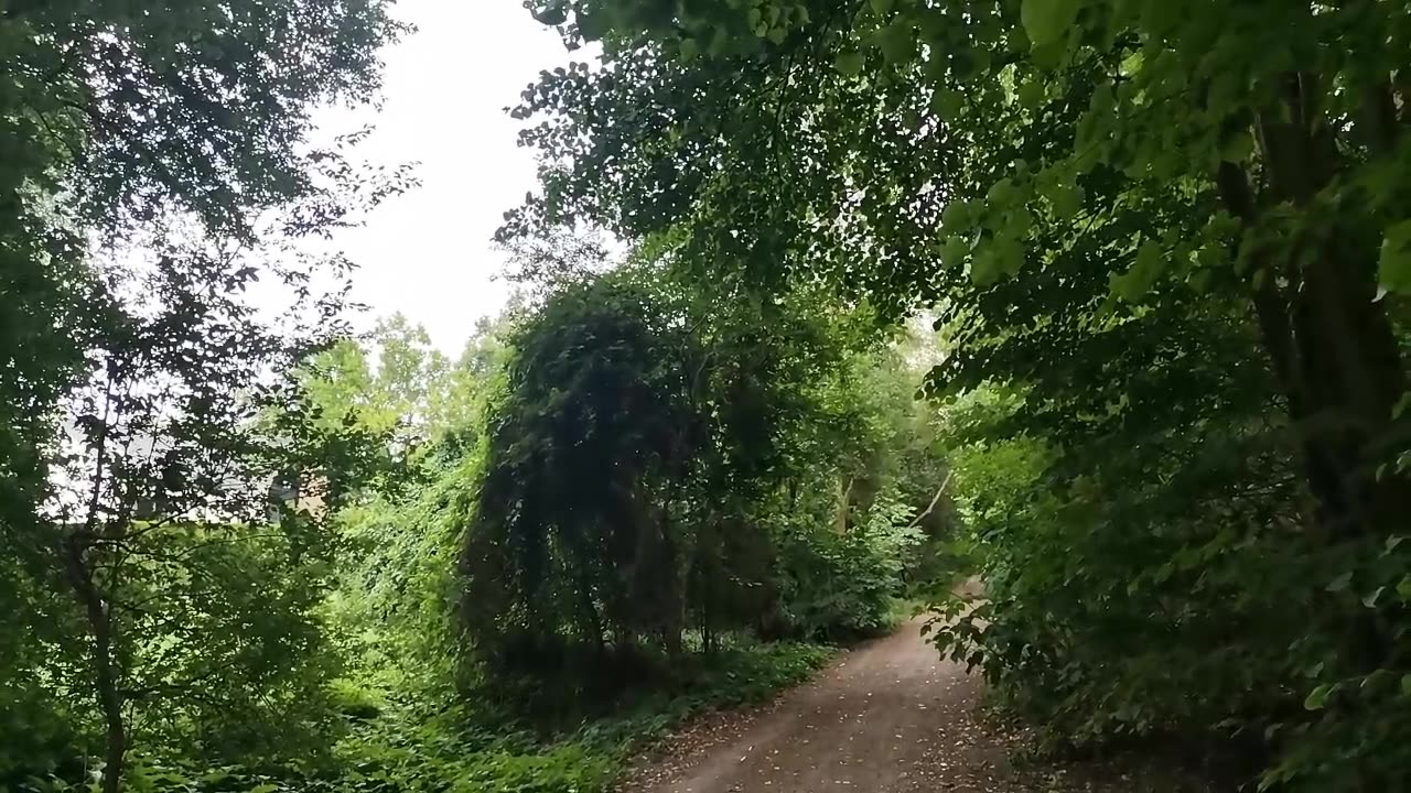niezła akcja