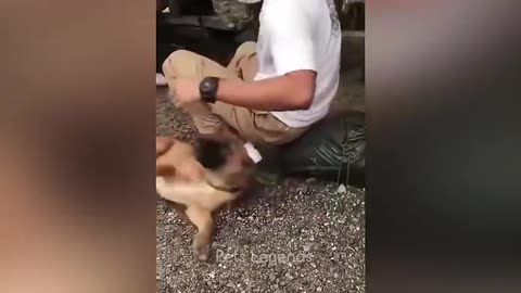 Funniest Animals 2023
