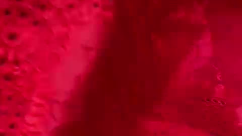 MUSHQ FANCY CHIKENKARI COLLECTION