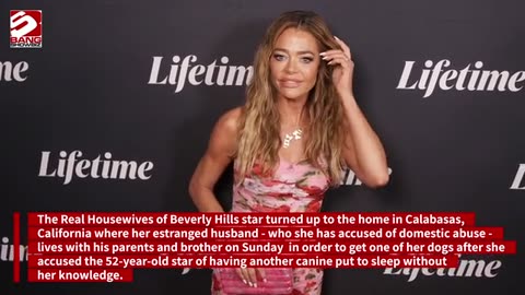 Aaron Phypers insists Denise Richards wasn't interested in their pets