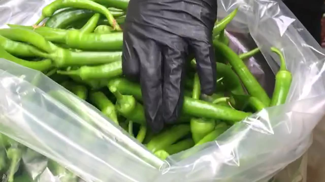 In summer, the crop is plentiful. The fruits are collected in sacks.