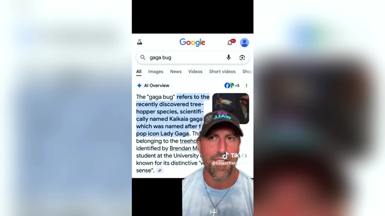 ITSN presents CELEBS THOUGHT TO BE DEAD BUT ARE THEY REALLY 6.25