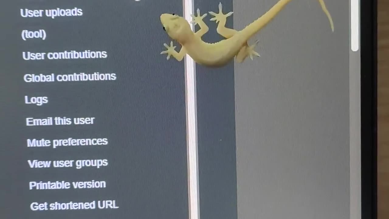 😂🦎 Cursor vs Gecko: The Ultimate Showdown! | FunFM
