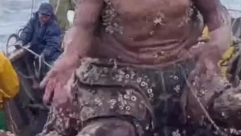 "Shadows & Legends".