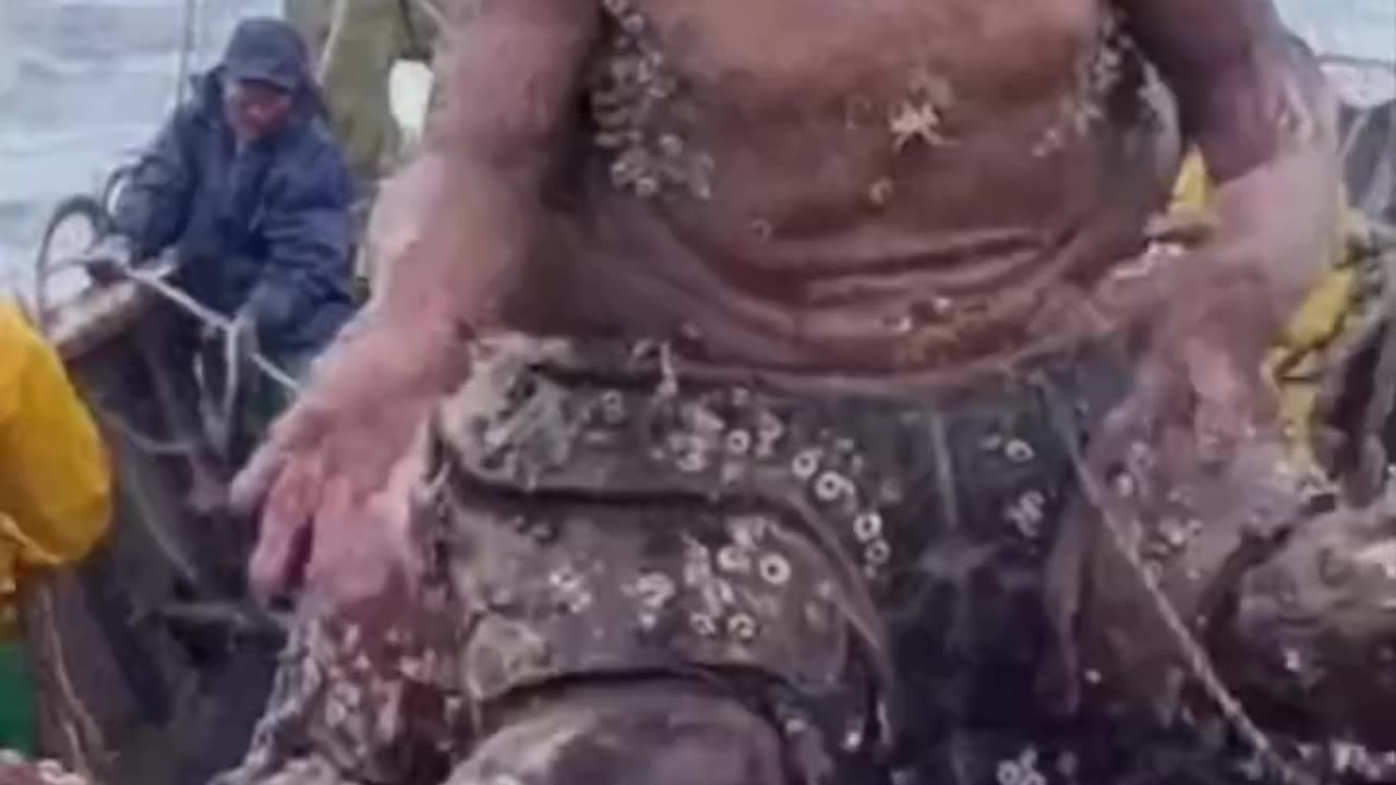 "Shadows & Legends".