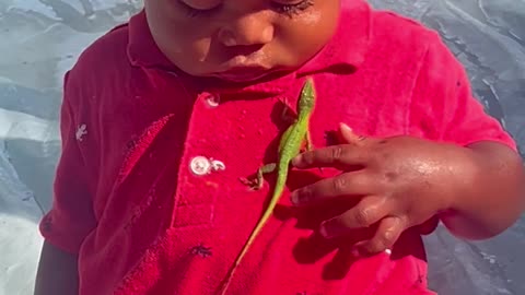 Toddler Plays With a Lizard
