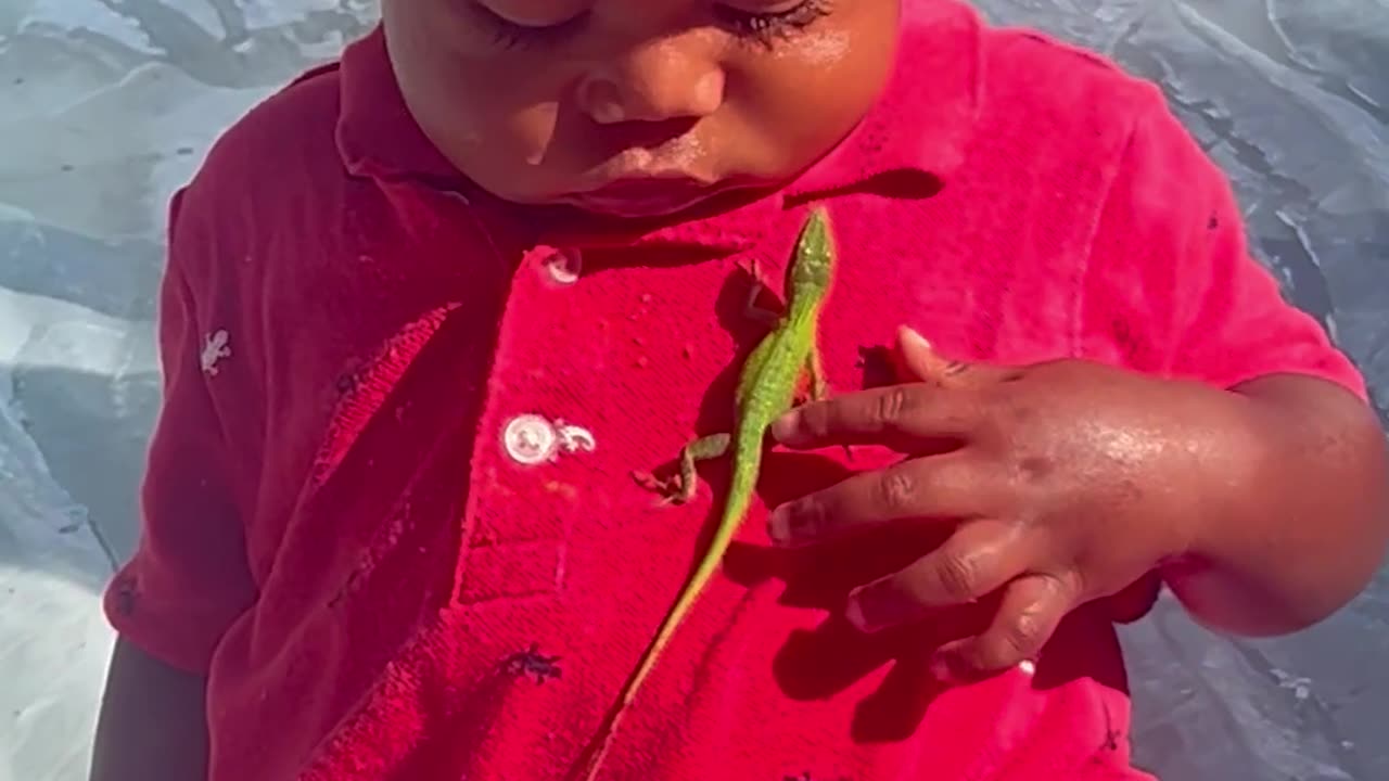 Toddler Plays With a Lizard