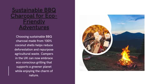 Natural BBQ Charcoal for Campfires in the UK: Embracing the Great Outdoors.