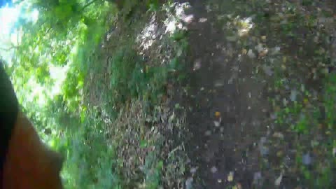 stagger to the woods, 2 hours in 1 inute