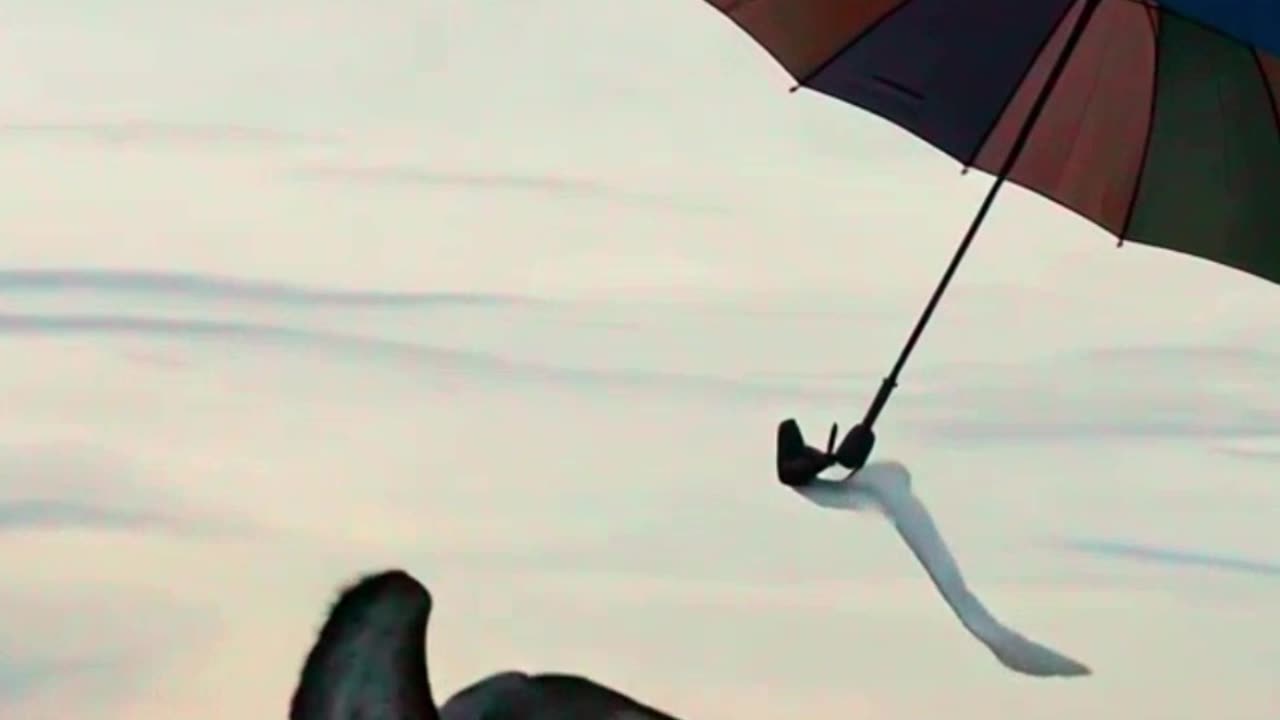 Chasing that Umbrella