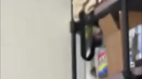 Dog Walk Adventure - $10_Day Fun with My Squad!