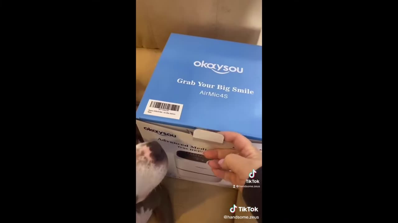 Animals making your day much happier and smoother.