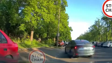 Owieczki drogowe - świętoszki