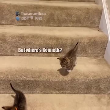 stairs are very treacherous 🎥: unamamiloca (TikTok), #shorts