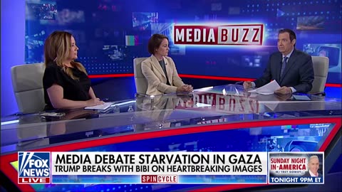 Media accused of 'unserious' coverage on Gaza humanitarian crisis, Russiagate