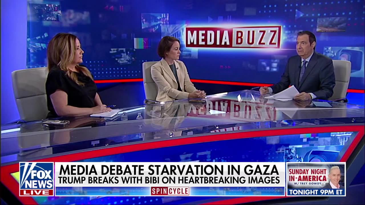Media accused of 'unserious' coverage on Gaza humanitarian crisis, Russiagate