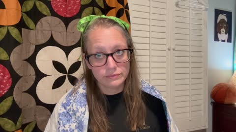 We Do Not Care Cub for Sewist and Quilters Episode #4