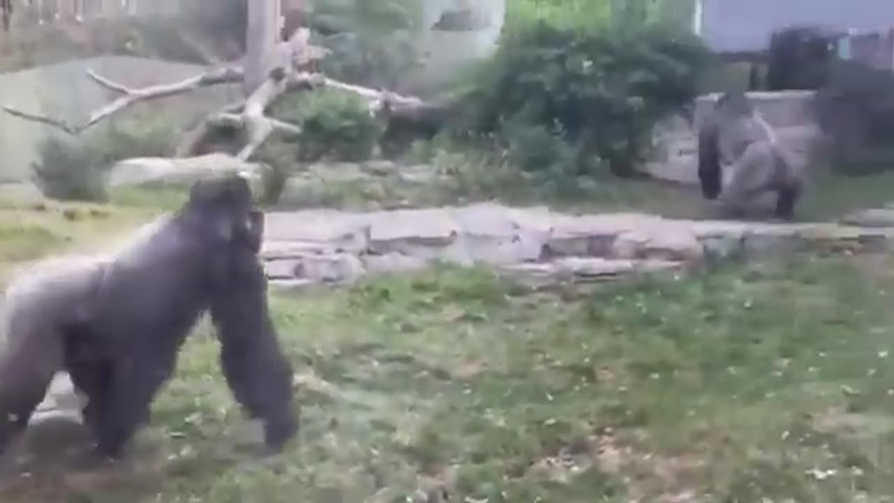 This Zookeeper Was TERRIFIED After This Happened
