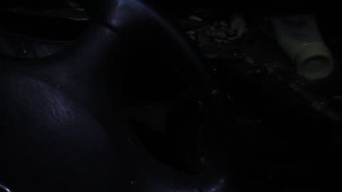 Happy Halloween 2025