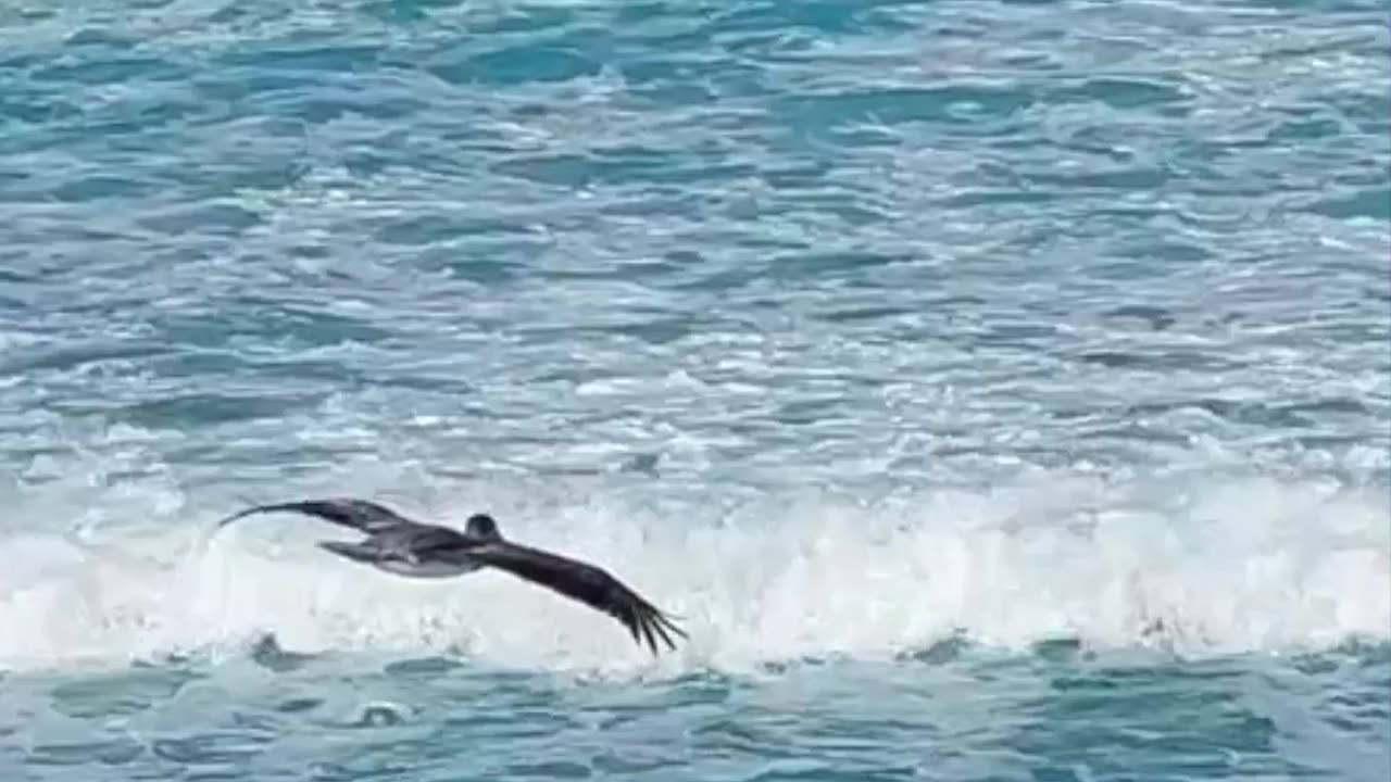 Farewell (Teaser 2) - humans(R)demons