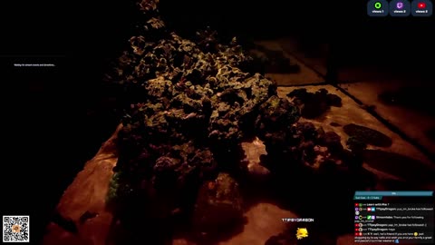 24/7 Real Live Reef Stream