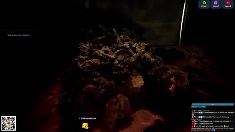 24/7 Real Live Reef Stream