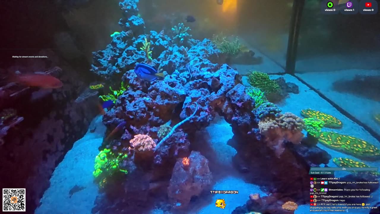 24/7 Real Live Reef Stream