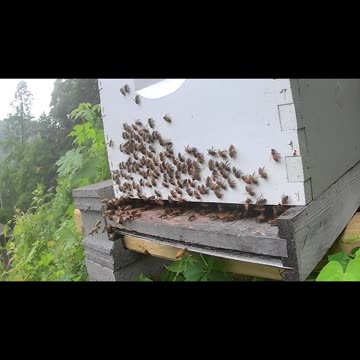 Sunday Afternoon - ANOTHER Storm Begins