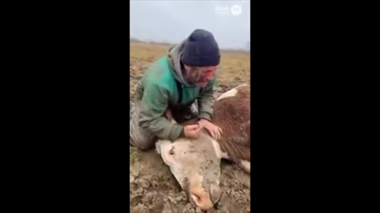 LE JOURNAL DU VEILLEUR