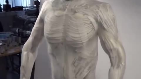 Clone Robotics Unveils New Humanoid Robot for House
