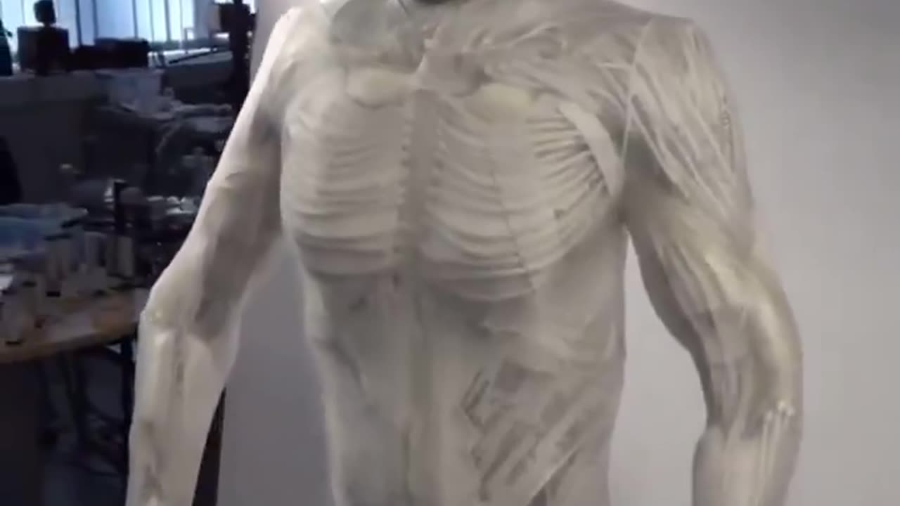 Clone Robotics Unveils New Humanoid Robot for House