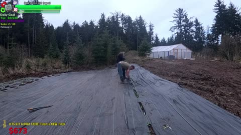 Day 346 Family Builds FARMSTEAD Dream Journey to Freedom in REMOTE ALASKAN Village | !Real !Homestead