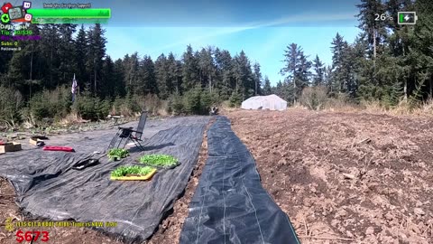 Day 346 Family Builds FARMSTEAD Dream Journey to Freedom in REMOTE ALASKAN Village | !Real !Homestead