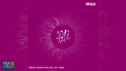 VA - Redux Selection / 2025