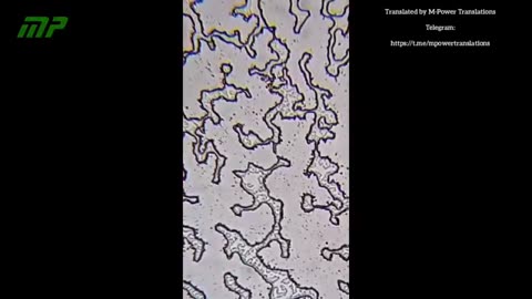 Пятивалентная вакцина Easyfive-TT через 13 дней после высыхания_ Нанотехнология